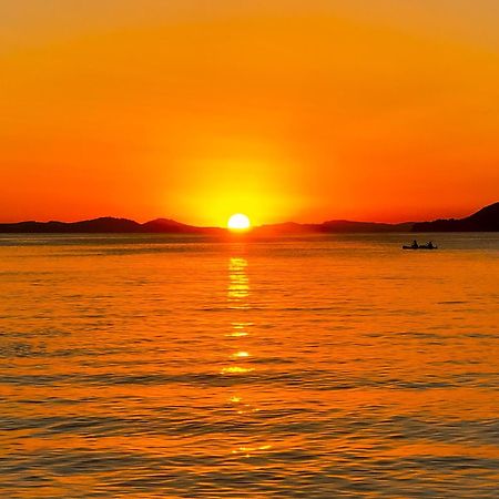 T2 Avec Terrasse & Parking A 5 Min Du Centre, 10 Min Des Plages Hyères Exteriér fotografie