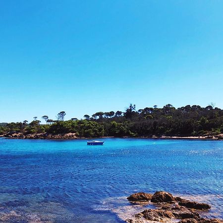 T2 Avec Terrasse & Parking A 5 Min Du Centre, 10 Min Des Plages Hyères Exteriér fotografie