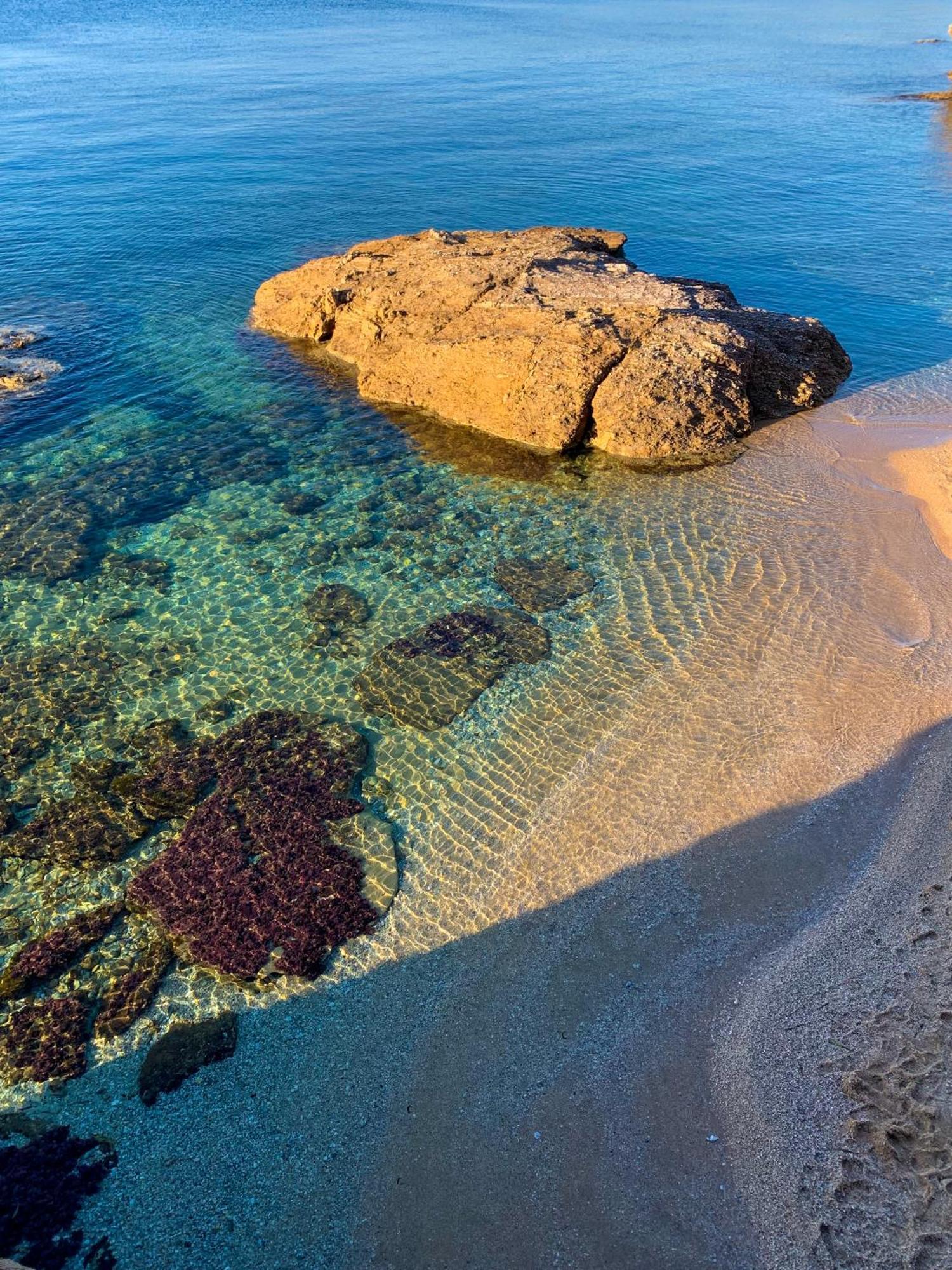 T2 Avec Terrasse & Parking A 5 Min Du Centre, 10 Min Des Plages Hyères Exteriér fotografie